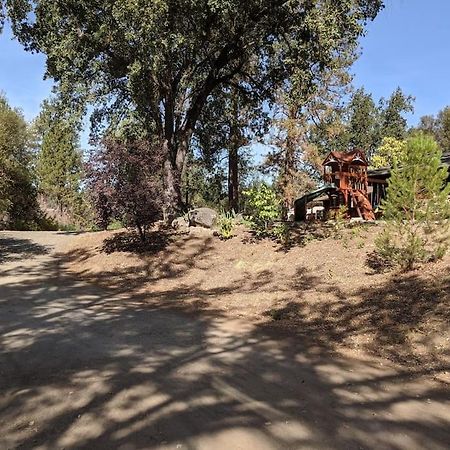 Sleeping Wolf Guest House Oakhurst Εξωτερικό φωτογραφία