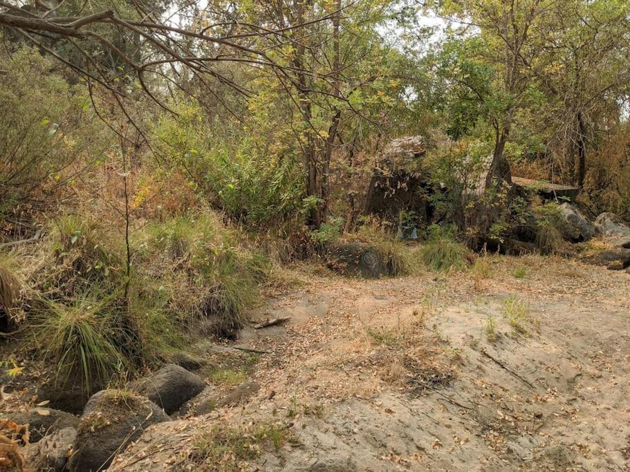 Sleeping Wolf Guest House Oakhurst Εξωτερικό φωτογραφία