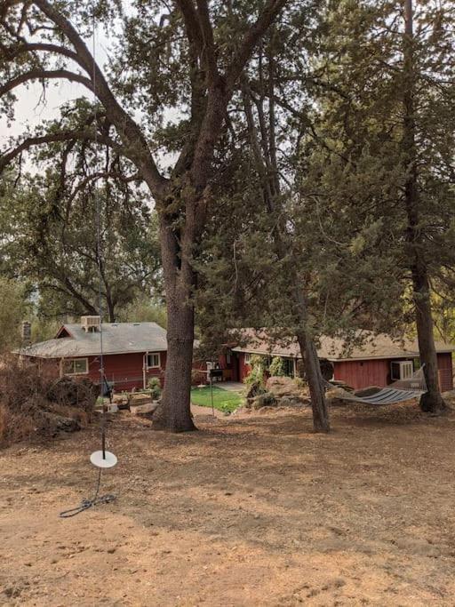 Sleeping Wolf Guest House Oakhurst Εξωτερικό φωτογραφία