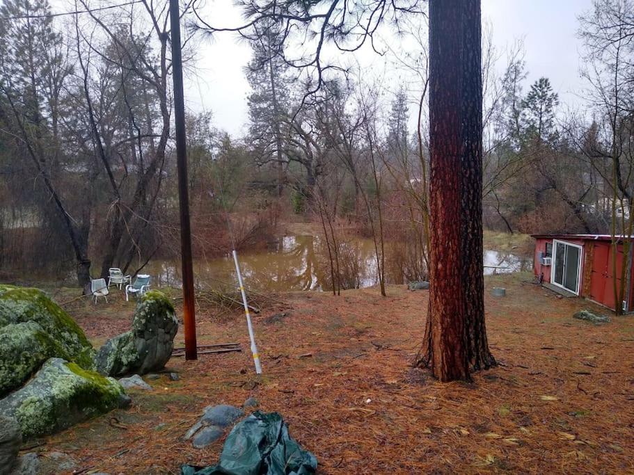 Sleeping Wolf Guest House Oakhurst Εξωτερικό φωτογραφία